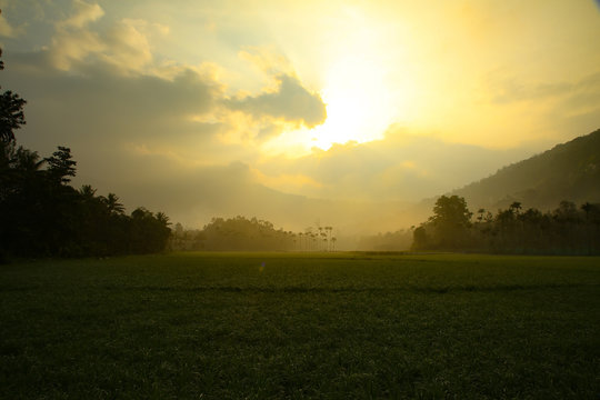 sun raice