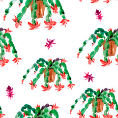 Watercolor Seamless Pattern of Christmas Cactus, Thanksgiving cactus, Blooming Flowers Schlumbergera on White Background