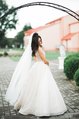 Beautiful luxury young bride in wedding dress posing in park