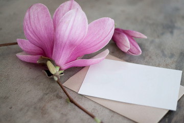 Magnolia Flowers on Texture Background Template