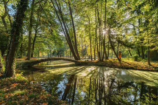 Abendstimmung Parc Schoppenwihr