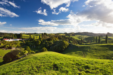 Fototapeta na wymiar New Zealand Countryside Scenery, Waitomo Area