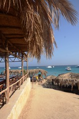Ile de Mahmya ( Hurghada -Égypte)