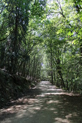 Obraz premium Lousa3