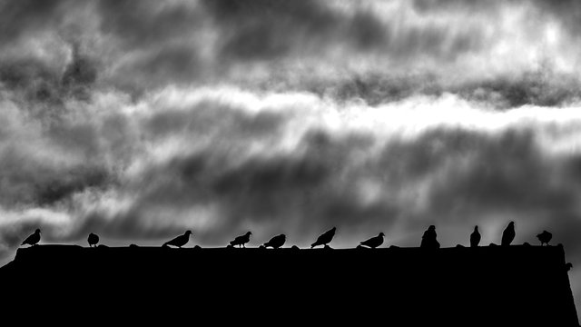 la quiete prima della tempesta