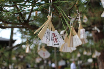 An omikuji (fortune paper) in Japanese shrine 