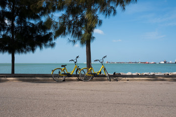 View on Strait of Malacca from seashore. Two bycicles parked road.