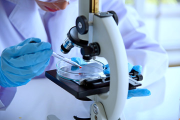 science medical study phamasutical medicine lab in hospital. scientist doing some research vaccine...