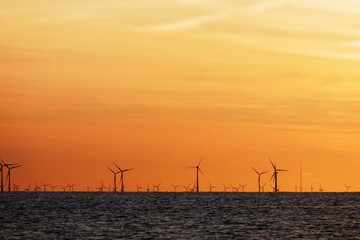 Windfarm on the sea at sunset