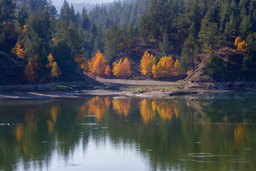 reflection of trees in lake