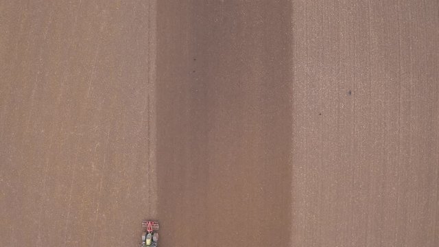 Flock of seagulls following a tractor on farmland