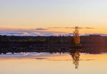 Plakat Lonely golden birch tree in the middle of a calm lake creating a mirror reflection during sunset in autumn. 