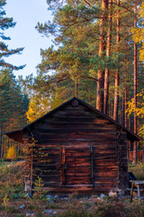 Old abandoned boathouse inside a forest during autumn and sunset. 