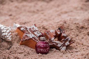 Winter Christmas vacation on sandy beach.