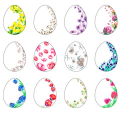 Set eggs Easter botany flowers watercolor. Set on white background for spring paper or textile design.