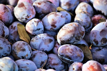 plums on a white background