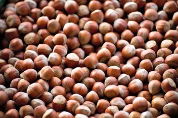 hazelnuts on a white background
