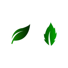 Eco green icon vector - illustration