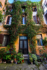 Fototapeta na wymiar Antique front door. Yard full of plants in the Trastevere area. Italy, Rome.