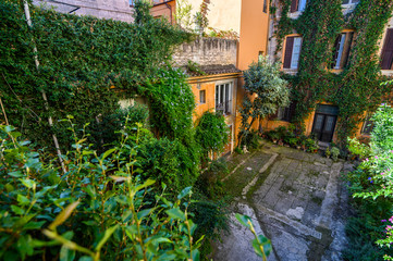 Fototapeta na wymiar Yard full of plants in the Trastevere area. Italy, Rome