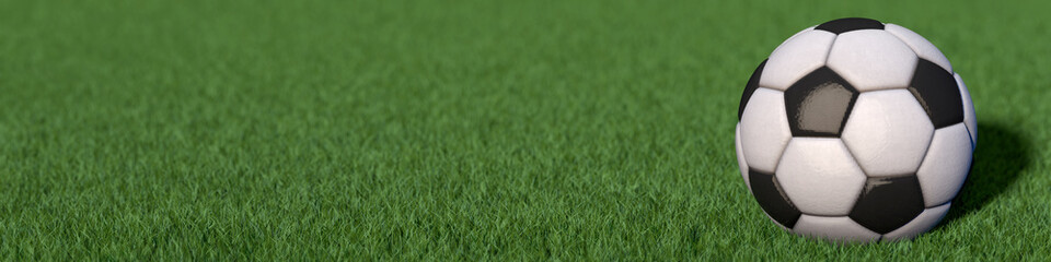 Fototapeta na wymiar Fußball liegt auf Rasen, Panoramaformat