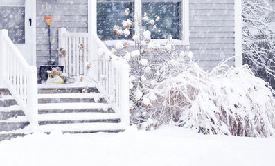 Porch of a house and plants around during a snowfall. Bad weather, snow storm. USA. Maine