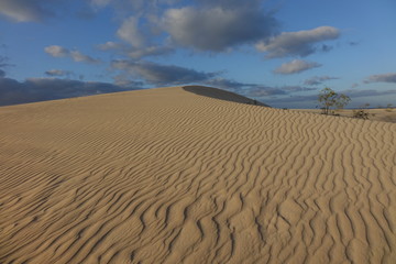 Evening light creating beautiful textures and patterns in the sand in the natural park Corralejo Fuerteventura Canary Islands Spain