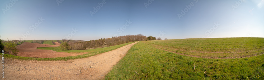 Sticker dirty road in green summer field. rural road in the field