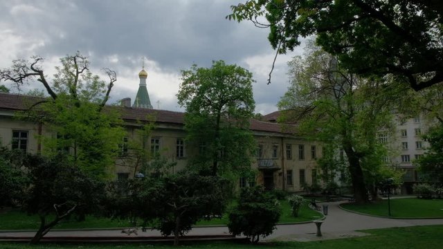 Perros en el parque. Sof&iacute;a,Bulgaria,Europa.