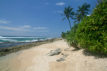 The Coast Of The Indian Ocean, Sri Lanka.