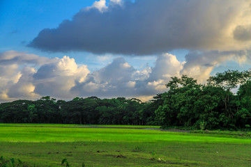 A farming land beside the bishkhali river and the Talgachia gram. It is situated at jalakathi, Barisal, Bangladesh