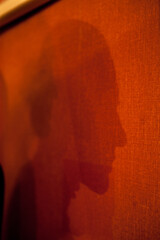 The shadow of a young woman shot against a red wall in profile