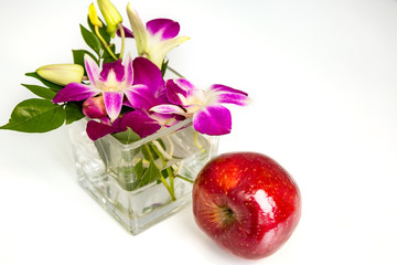 Orchid flower and red Apple on white background.