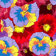 Bright red and orange flowers of pansy on a dark burgundy background. Seamless vector pattern. Hand drawing vector illustration.