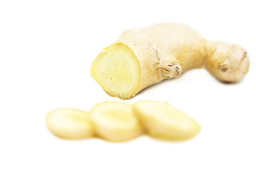 Fresh ginger root isolated on white background
