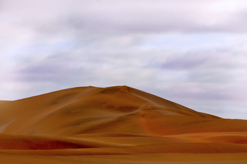 Fototapeta na wymiar Amazing view of the sand dunes inNamib Desert. Artistic picture. Beauty world.