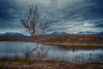 Abisko National Park in polar Sweden in  gloomy weather