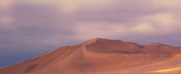 Amazing view of the sand dunes inNamib Desert. Artistic picture. Beauty world.