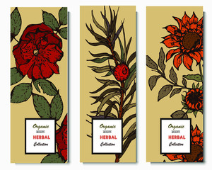 Herbal illustration on label packaging design. Hand drawn vector botanic set with branch, flowers.