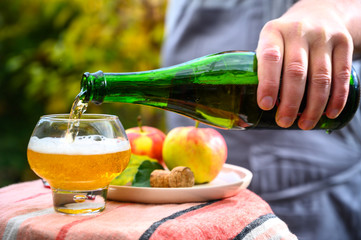 Tasting of french apple cider made from new harvest apples outdoor in orchard