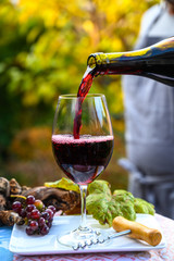 Pouring yound red beaujolais wine in glass during celebration of end of harvest and first sale...