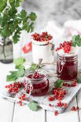 Fresh homemade red currant jam or sauce in a jar, selective focus.