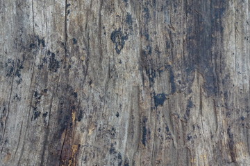 old wood background