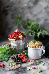 Fresh currants in a ceramic cup: black currants, red currants and white currants, selective focus. Place for text. Copy space