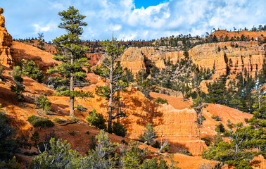 Fototapeta na wymiar View of the Red Canyon in Utah, the USA