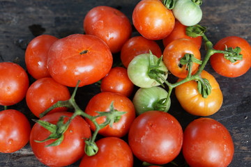 Top view of fresh red tomatoes, isolated on dark background