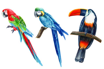 Obraz na płótnie Canvas set of tropical birds, parrots and toucan on isolated white background, watercolor illustration, hand drawing