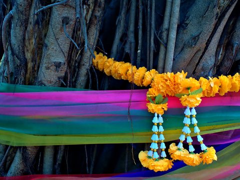 Three color cloths with flower are tie in the banyan tree for paying respect to the spirit who guard it in Ayutthaya, Thailand