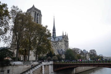 notre dame in paris