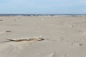 Fototapeta na wymiar wood on the beach
